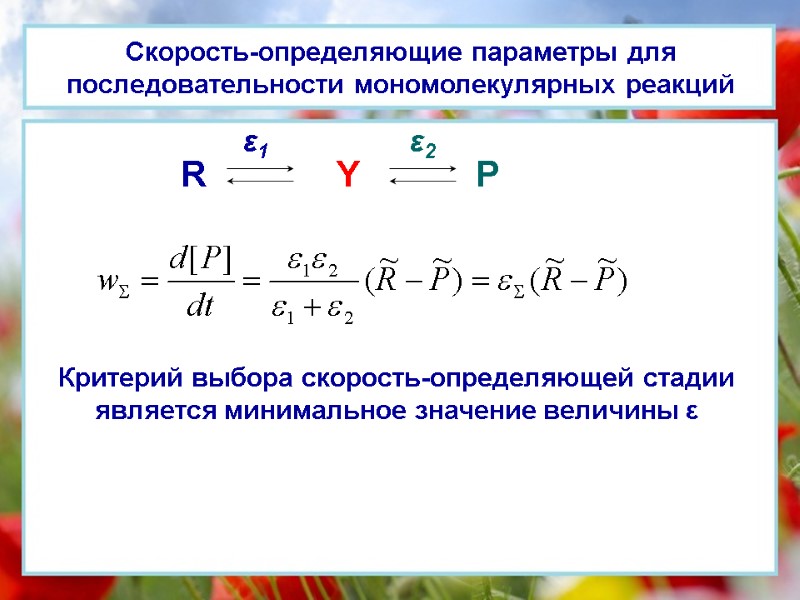 Скорость-определяющие параметры для последовательности мономолекулярных реакций ε1 ε2 Критерий выбора скорость-определяющей стадии является минимальное